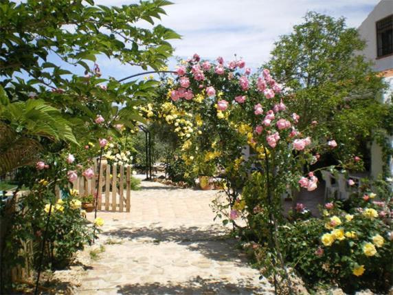 Casas Rurales Cazorla-Alcon Pozo Alcón Zimmer foto