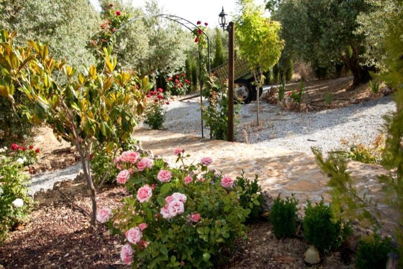 Casas Rurales Cazorla-Alcon Pozo Alcón Zimmer foto